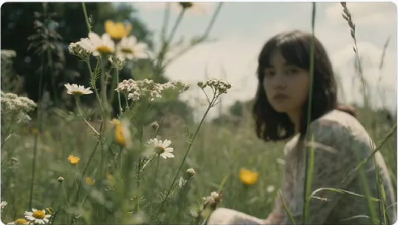 充满活力的花卉布置 效果展示