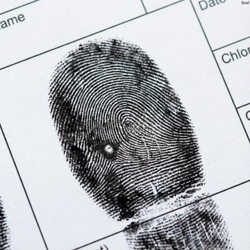 手指指纹图 效果展示