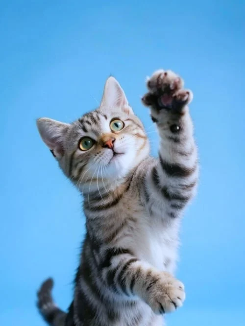 向照片添加新元素 原图