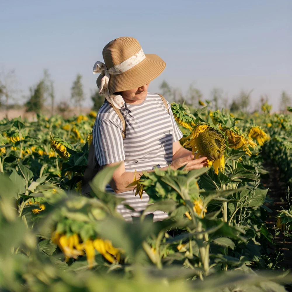 同一场景的四个摄像机角度 原图